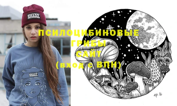 спиды Абаза