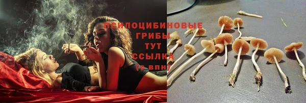 спиды Абаза