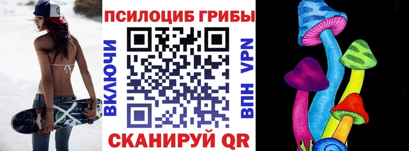 наркошоп Курчатов Псилоцибиновые грибы Cubensis